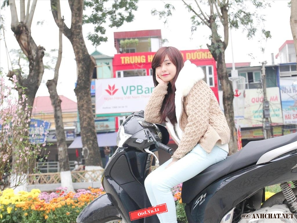 Ảnh Đẹp Girl Xinh Việt Nam Dịu Dàng